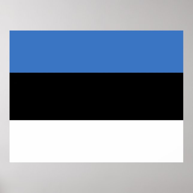 Estlands flagga poster (Framsidan)