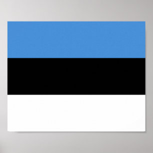 Estlands flagga poster