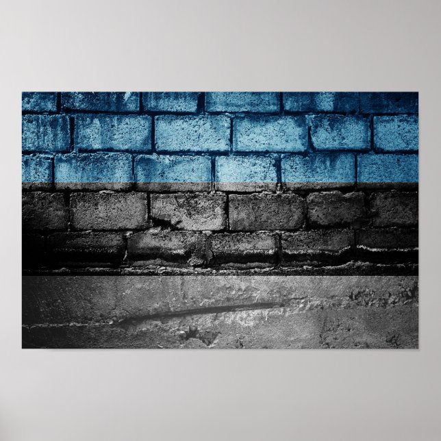 Estlands flagga poster (Framsidan)