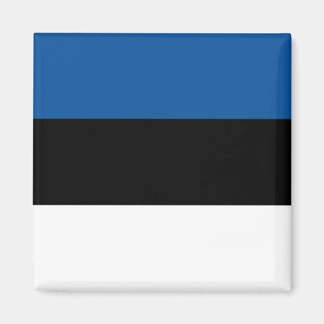 Estniska Flagga Magnet (Framsidan)