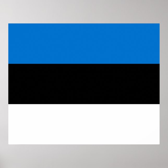 Estniska Flagga Poster (Framsidan)