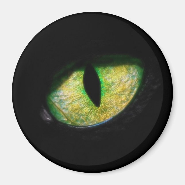 Estou de olho em você magnet (Framsidan)