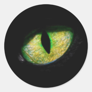 Estou de Olho em você Runt Klistermärke