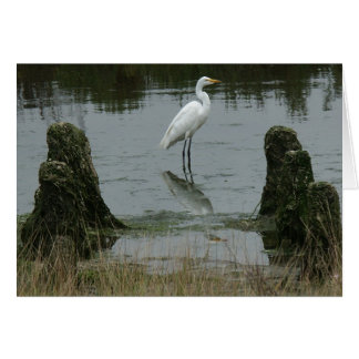 Estuary vid Pajaro Dunes Hälsningskort