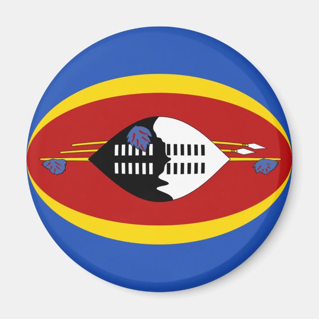 Eswatini Fisheye Flagga Magnet (Framsidan)