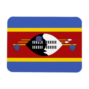 Eswatini flagga magnet