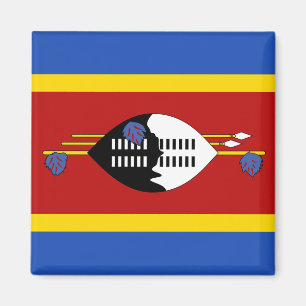 Eswatini Flagga Magnet