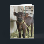 ETAT KAN INTE HAY "BROTHER" BIRTHDAY-KORT KORT<br><div class="desc">LÅT ***DIN BRODER*** VET ATT DU ÄR SÅ "REDO ATT CELEBRAT" PÅ HENNES MYCKET SPECIELLA DAG! OCH VARFÖR INTE. TACK FÖR ATT STOPPA MED ETT AV MINA ÅTTA LAGER:)</div>