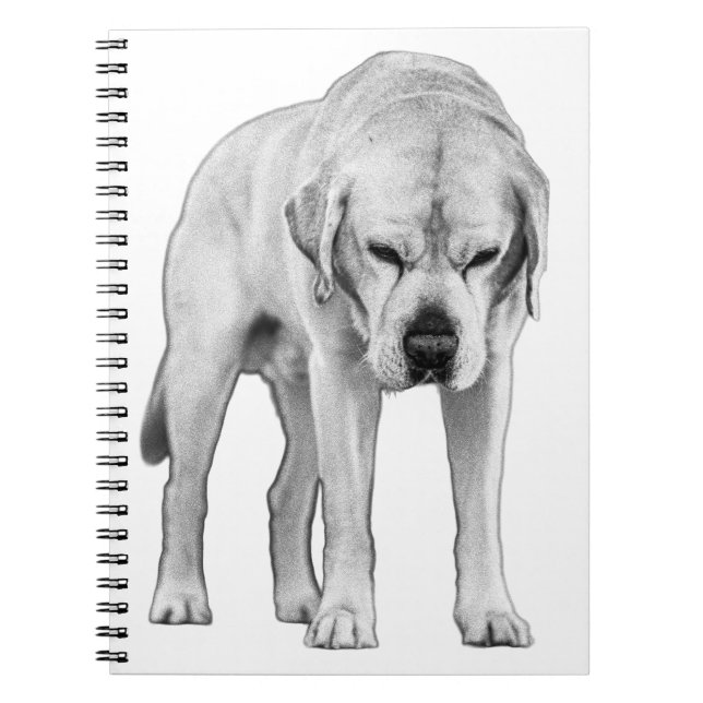 Etched Resolve Anteckningsbok (Framsidan)