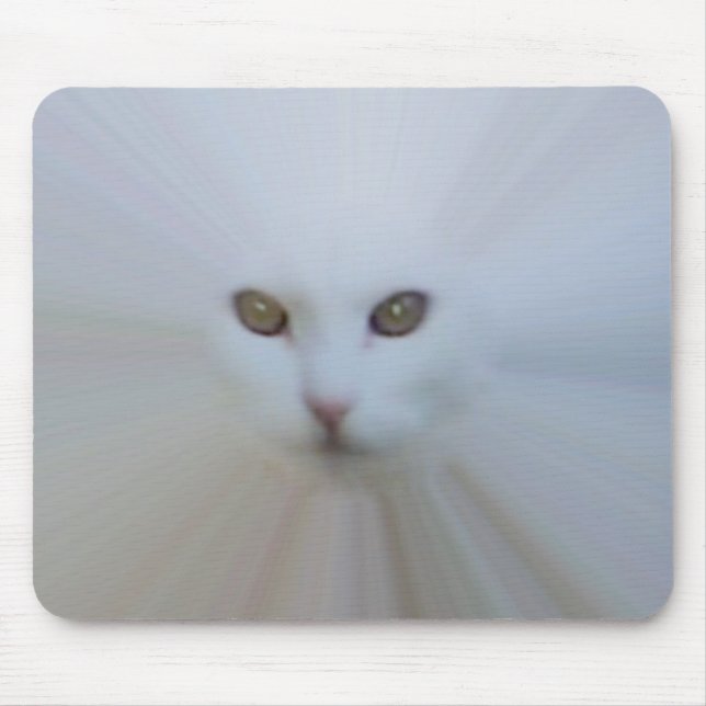 eterisk vitkatt musmatta (Framsidan)