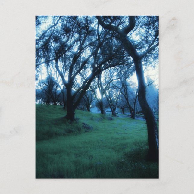 Eteriskt ögonblick vykort (Framsida)