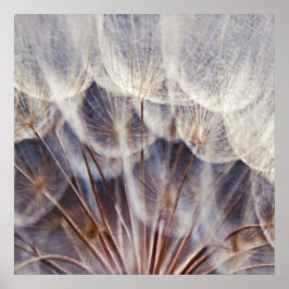 Etheral Dandalion Macro Abstrakt Poster