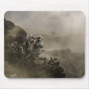 Etheral - Idéational - Andlig - Yellowstone Musmatta