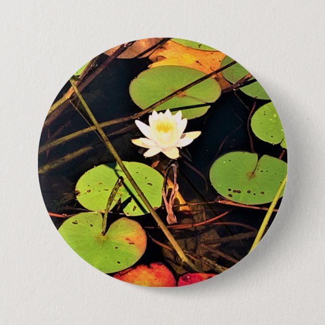 "Etheral Lily Pad Pond med Central White Blommar Knapp (Framsida)