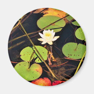 "Etheral Lily Pad Pond med Central White Blommar Magnet