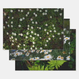 Ethereal Forest Flora, set of 3 art photos
