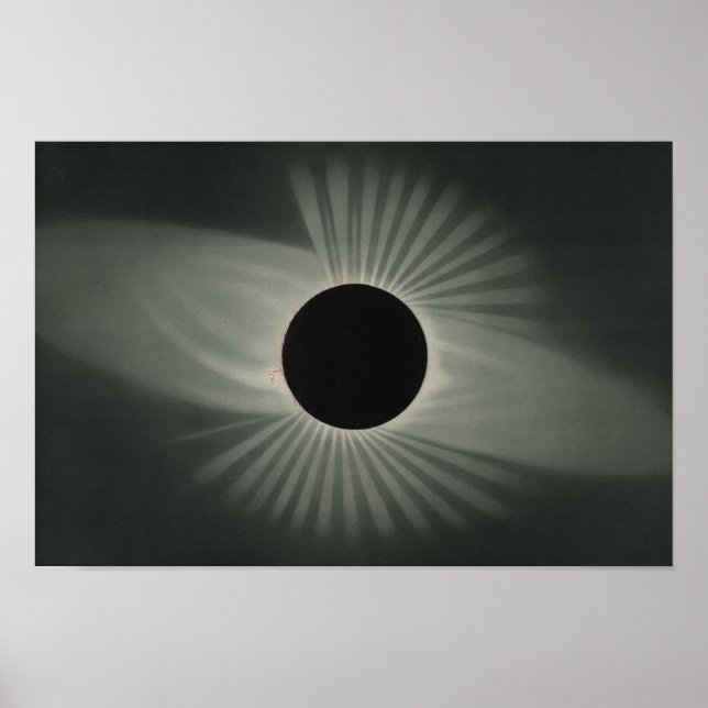 Etienne Leopold Trouvelot - Totalt Eclipse Poster (Framsidan)