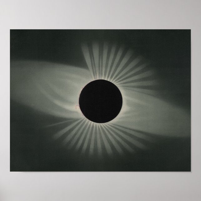 Etienne Leopold Trouvelot - Totalt Eclipse Poster (Framsidan)