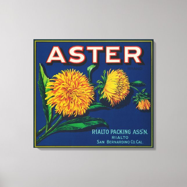 Etikett Aster Brand Citrus Låda Canvastryck (Framsida)