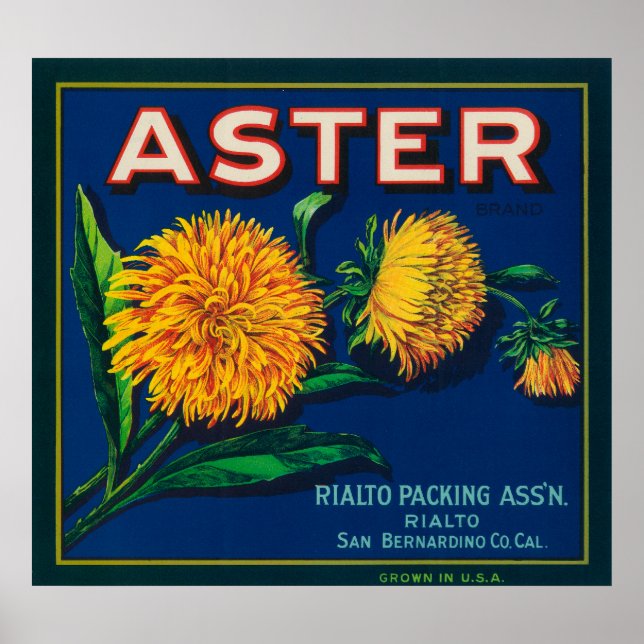 Etikett Aster Brand Citrus Låda Poster (Framsidan)
