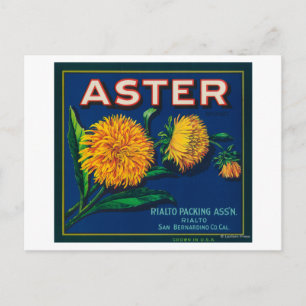 Etikett Aster Brand Citrus Låda Vykort