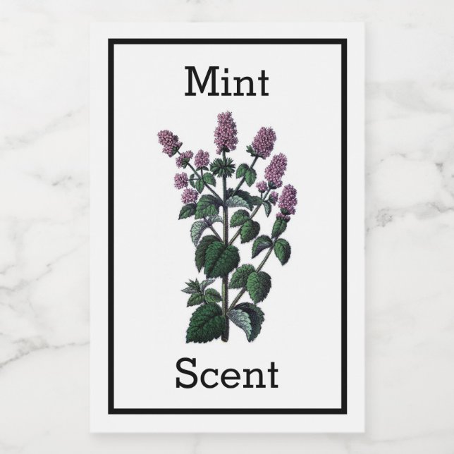 Etikett för antique Mint (Enkel etikett)