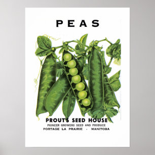 Etikett för ärtutsäde poster