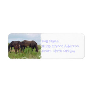 Etikett för brevskickande för hästfamilj betande returadress etikett