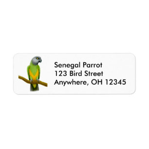 Etikett för Friendly Senegal Parrot Returadress Etikett