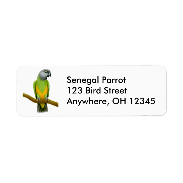 Etikett för Friendly Senegal Parrot Returadress Etikett (Framsidan)