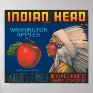 Etikett för indiska Head Washington Apples Vintage Poster