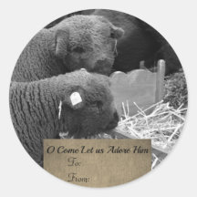 Etikett för jullamm