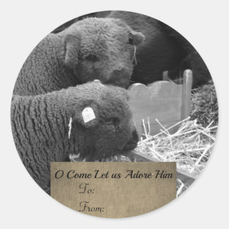 Etikett för jullamm