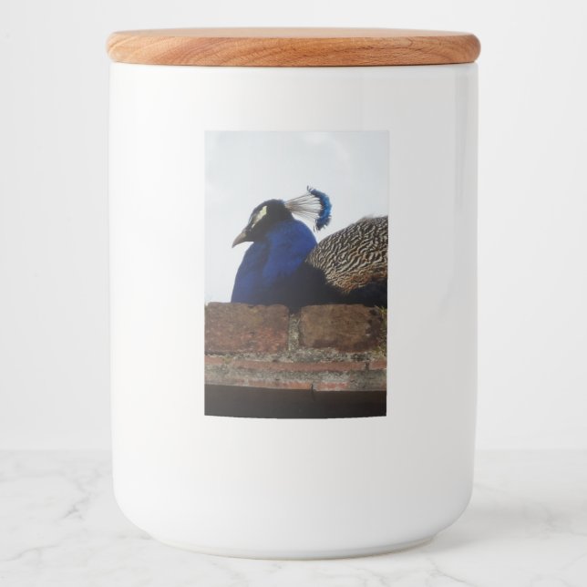 Etikett för livsmedelsbehållare för husdjur (Framsida)