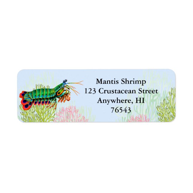 Etikett för Peacock Mantis Shrimp Returadress Etikett (Framsidan)