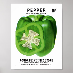 Etikett för pepparfröpaket poster