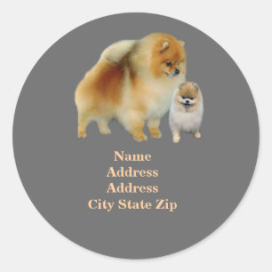 Etikett för Pomeranian Palsadress