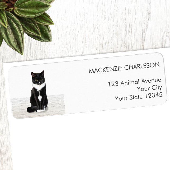 Etikett för returadress med husdjurfoto (Personalized pet photo custom return address label for animal lovers)