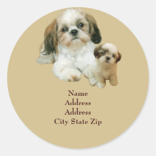Etikett för Shih Tzu kompisadress