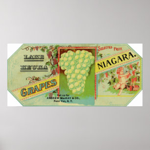 Etikett för sjöKeuka Niagara druvor Poster