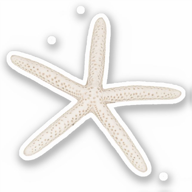 Etikett för Starfish Sticker (Framsida)