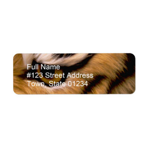 Etikett för tigerfotoreturadress returadress etikett