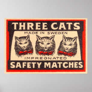 Etikett för tre säkerhetsmatchningar för katter poster