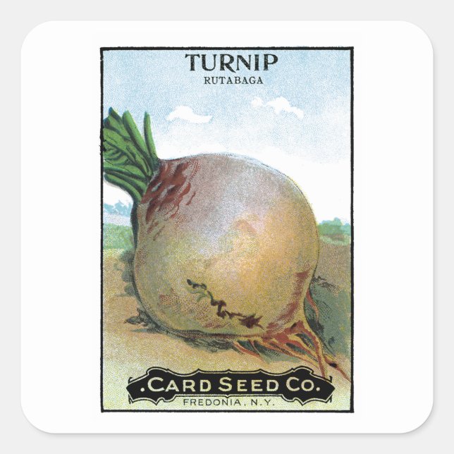 Etikett för Turnip Seed Packet Label (Framsida)