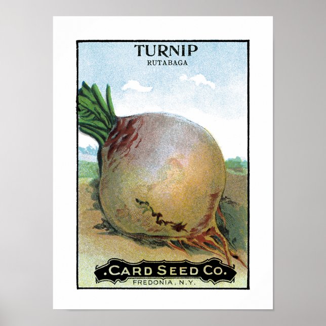 Etikett för Turnip Seed Packet Label Poster (Framsidan)