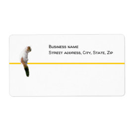 Etikett - frakt - bevaka katt fraktsedel