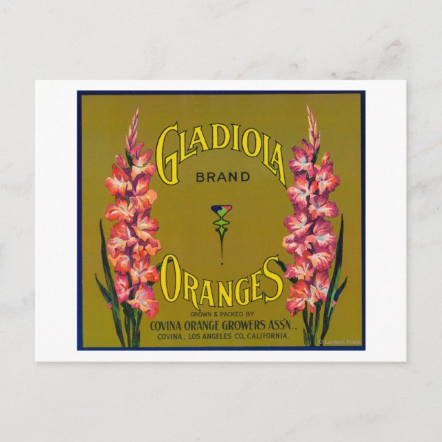 Etikett Gladiola Brand Citrus Låda Vykort (Framsida)