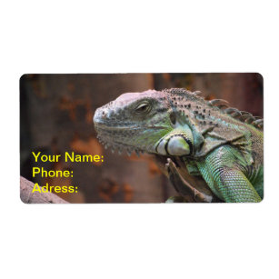 Etikett med färgad Iguana Lizard Fraktsedel