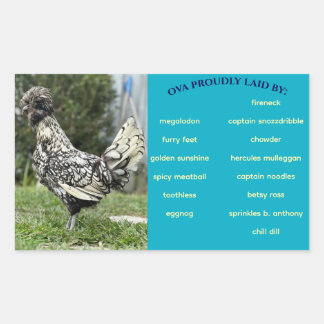 Etikett på äggkartongen