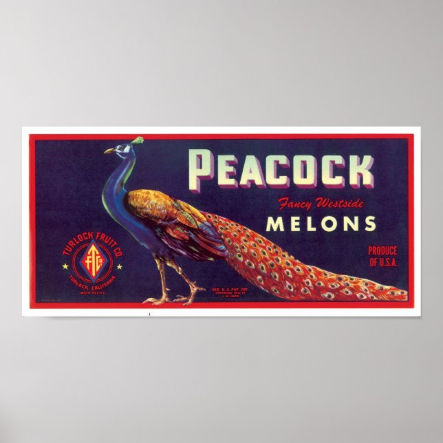 Etikett Poster för peacock Melons (Framsidan)
